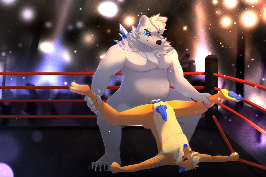 anthro canid canine canis domestic_dog duo fighting_ring heithingur hi_res ice_penis kiai male male/male mammal polar_bear shiba_inu size_difference spitz ursid ursine wrestling