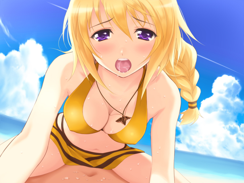 breasts charlotte_dunois female gold_hair infinite_stratos purple_eyes sex