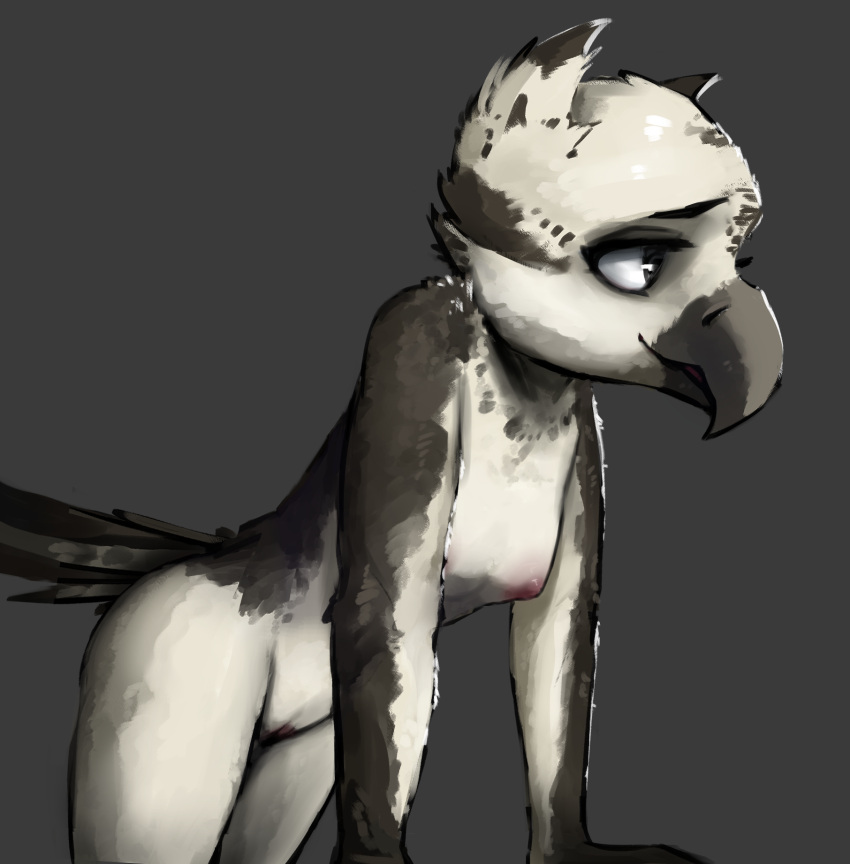 avian bird breasts casual_nudity feathers female genitals hi_res humanoid nopetrol pussy solo tail_feathers