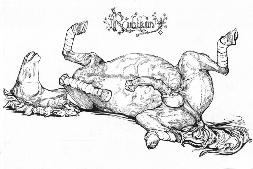 animal_genitalia animal_penis anus balls bucephalus equid equine equine_penis feral genitals horse lying male mammal on_back penis puffy_anus rubikon solo