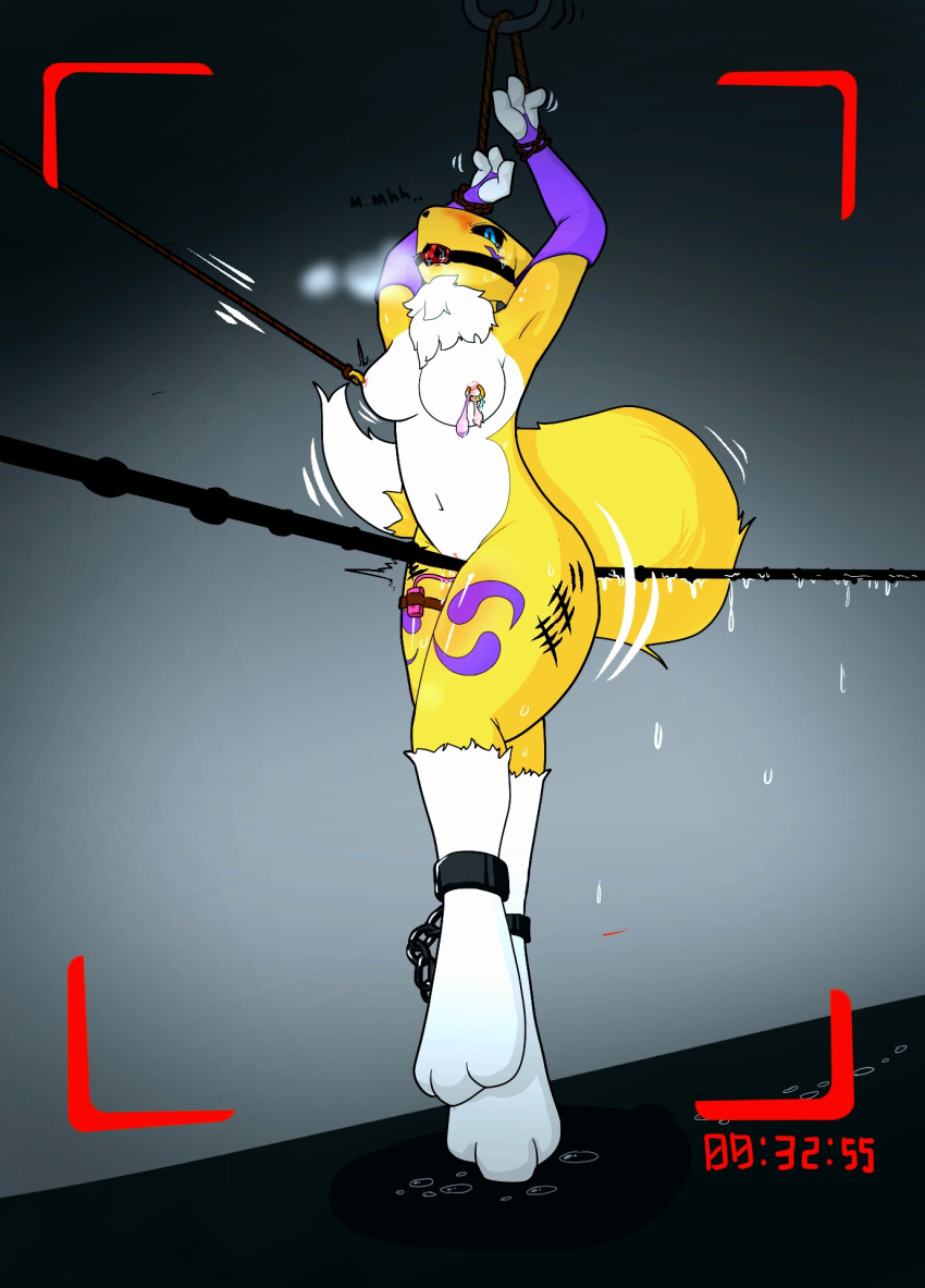 blush bodily_fluids bondage bondage bound digimon digimon_(species) female gag hi_res nipple_piercing nipples piercing renamon rope_walking siru tagme tears video_games