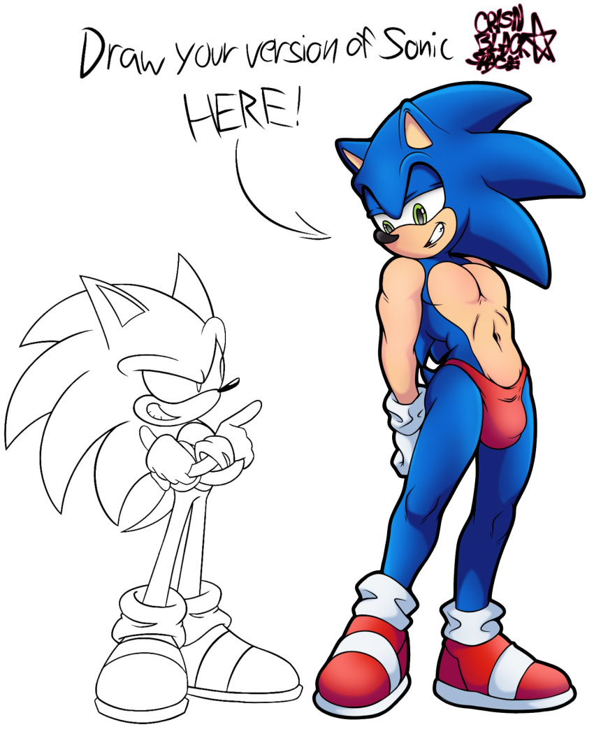 Sonic The Hedgehog (Sega) Rule 34 Image
