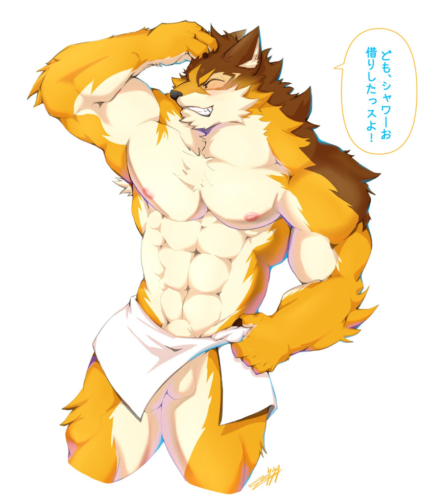 1boy anthro balls barrel_(live-a-hero) better_version_at_source canid canine canis flaccid fur genitals hi_res kalonezhno live-a-hero male male_only mammal multicolored_body multicolored_fur muscular muscular_anthro muscular_male pecs penis solo towel wolf