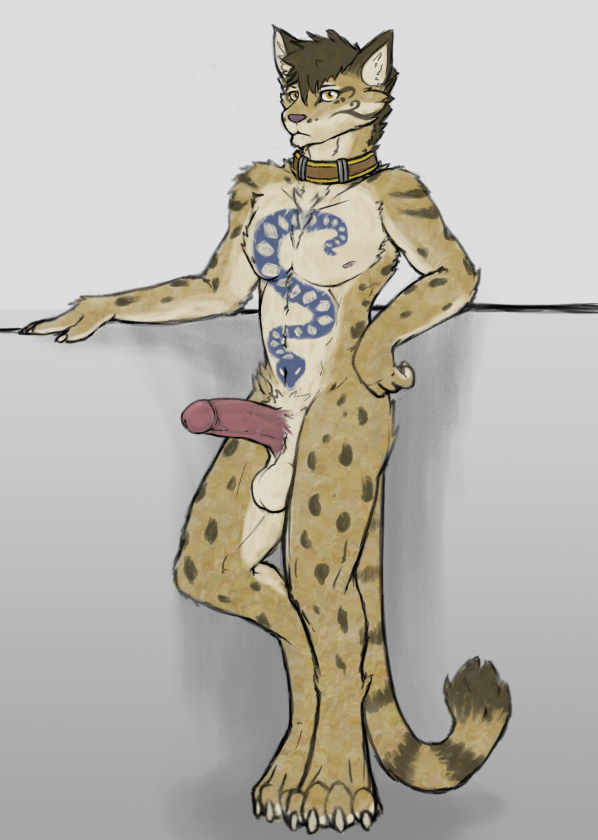 absurd_res anthro balls clouded_leopard collar erection felid feline genitals hair hi_res humanoid_genitalia humanoid_penis leopard likulau male mammal nekojishi pantherine penis solo standing studio_klondike tattoo tenecayr_(artist) video_games visual_novel