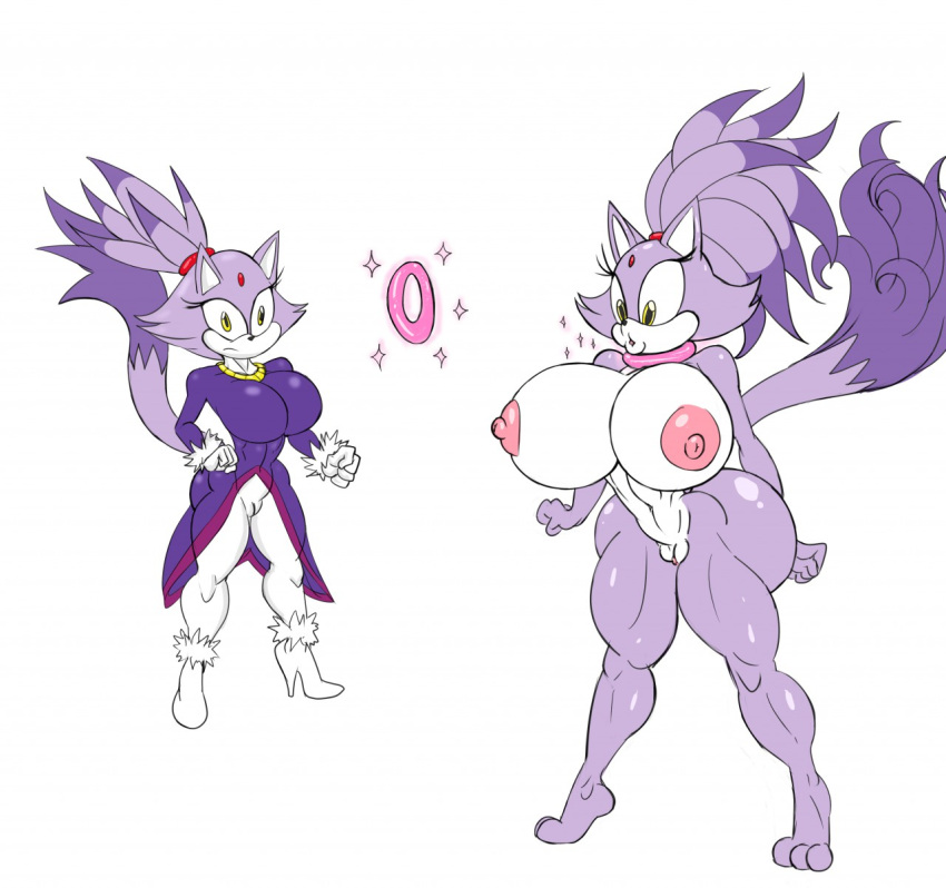 Blaze The Cat (Sonic (Series)) Rule 34 Image