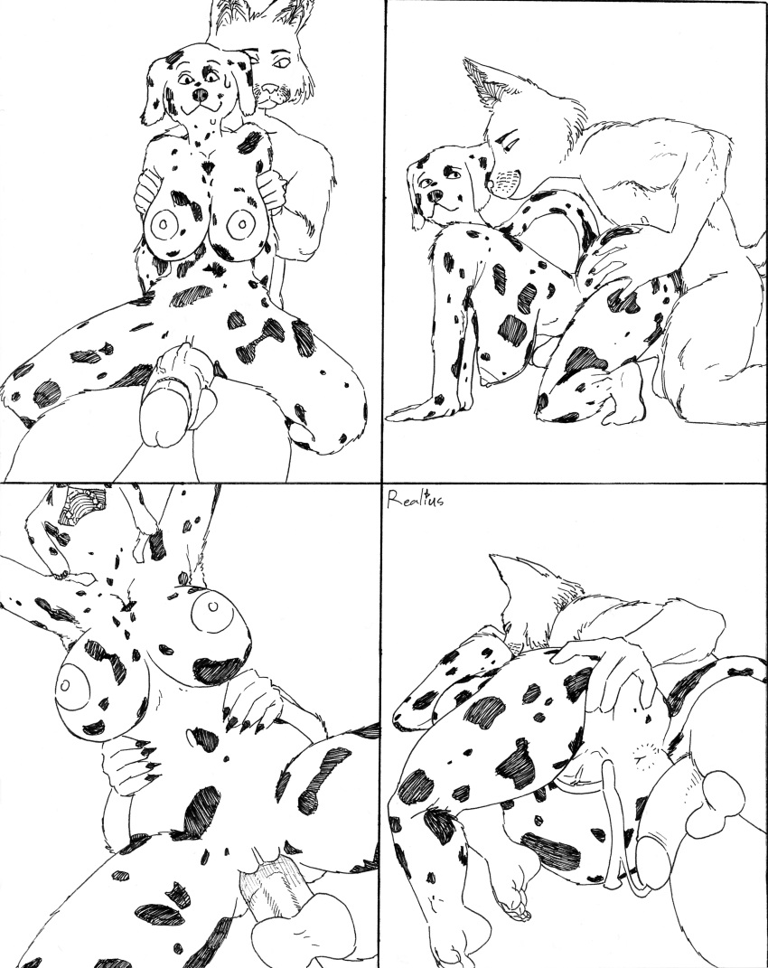 absurd_res all_fours anthro anus areola arm_grab ass big_breasts big_butt big_penis biped black_and_white bodily_fluids breasts butt_grab canid canine canis clitoris comic cum cum_drip cum_in_pussy cum_inside dalmatian doggy_style domestic_dog dripping duo erection female female_penetrated from_behind_position genital_fluids genitals hand_on_butt hanging_breasts hi_res holding_waist huge_breasts huge_cock low-angle_view male male/female male_penetrating male_penetrating_female mammal monochrome nervous nervous_smile nipples on_lap penetration penis pussy realius sex sitting_on_lap spread_butt spread_pussy spreading sweat sweatdrop traditional_media_(artwork) worm's-eye_view