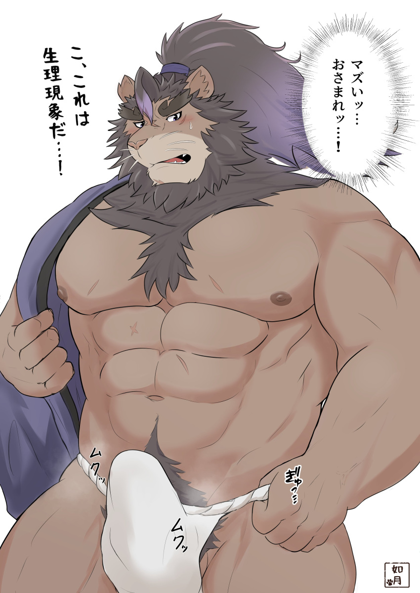 abs absurd_res anthro asian_clothing blush brown_body brown_fur brown_mane clothed clothing east_asian_clothing erection erection_under_clothing felid fundoshi fur genitals hair hi_res japanese_clothing japanese_text kisaragi_syoo lion live-a-hero male male_only mammal mane muscular muscular_anthro muscular_male nipples pantherine pecs penis ponytail pubes text toshu_(live_a_hero) underwear