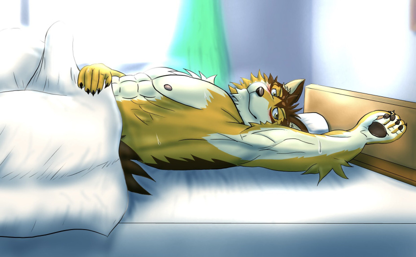 abs anthro barrel_(live-a-hero) bed canid canine canis erection erection_under_blanket furniture genitals hi_res live-a-hero looking_at_viewer male mammal morning morning_wood muscular muscular_anthro muscular_male pecs penis wolf yom_mido_plus