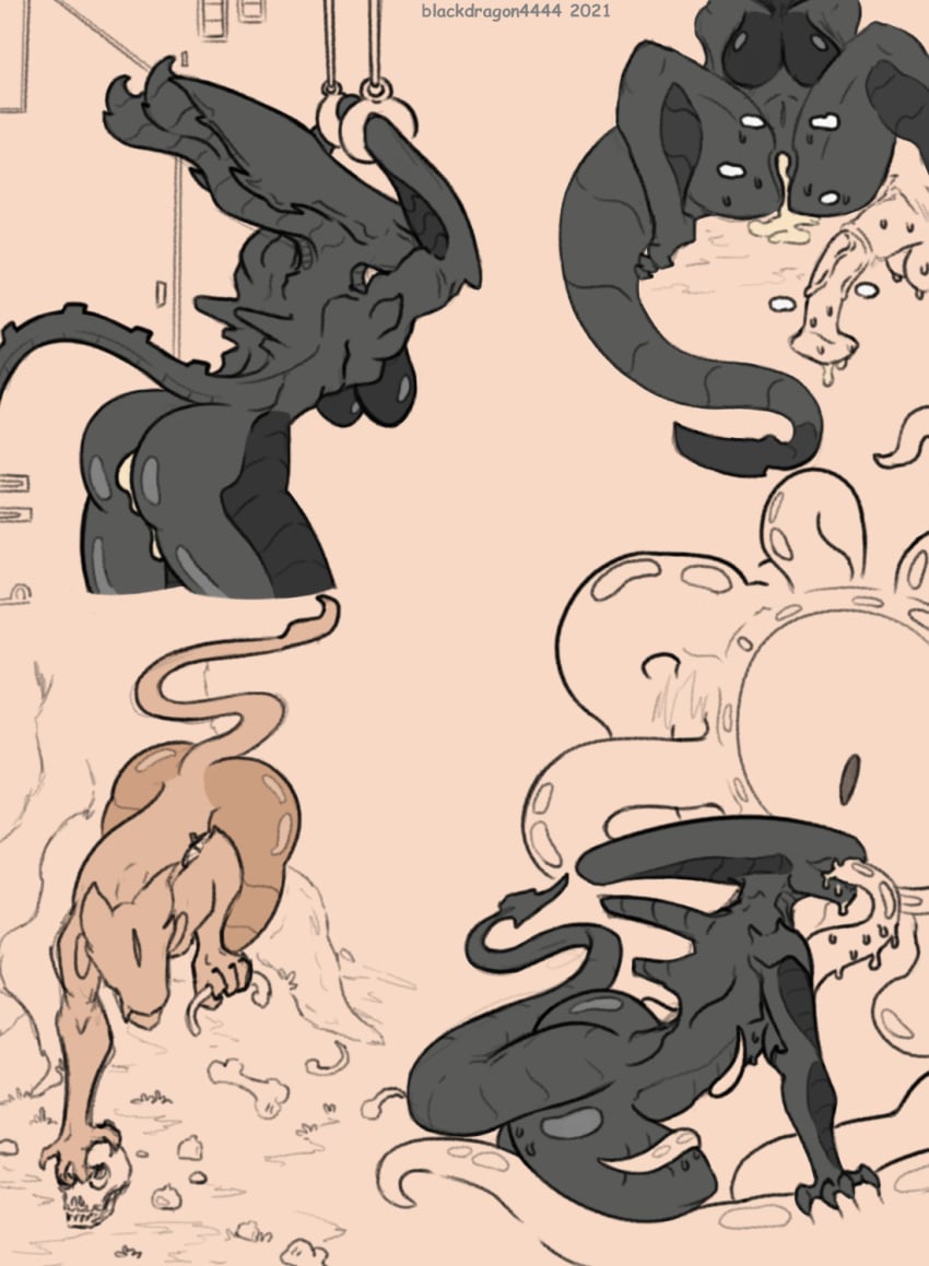 Female Xenomorph (Alien (Franchise)) Rule 34 Image