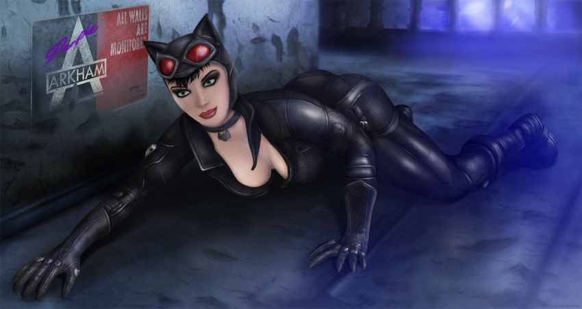 batman:_arkham_city batman_(series) catwoman crafted_lightning dc_comics selina_kyle tagme