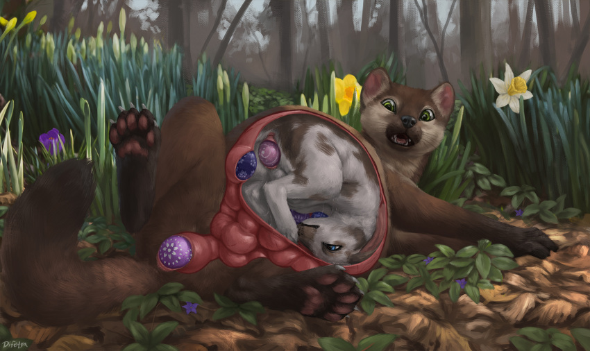 2021 ambiguous_gender anal anal_sex day detailed_background difetra digital_media_(artwork) egg egg_bulge egg_from_ass egg_from_pussy egg_laying female feral forest grass gulonine hi_res internal internal_egg_laying lagomorph leporid male mammal marten mustela mustelid musteline outside penetration plant rabbit tree true_musteline vore x-ray