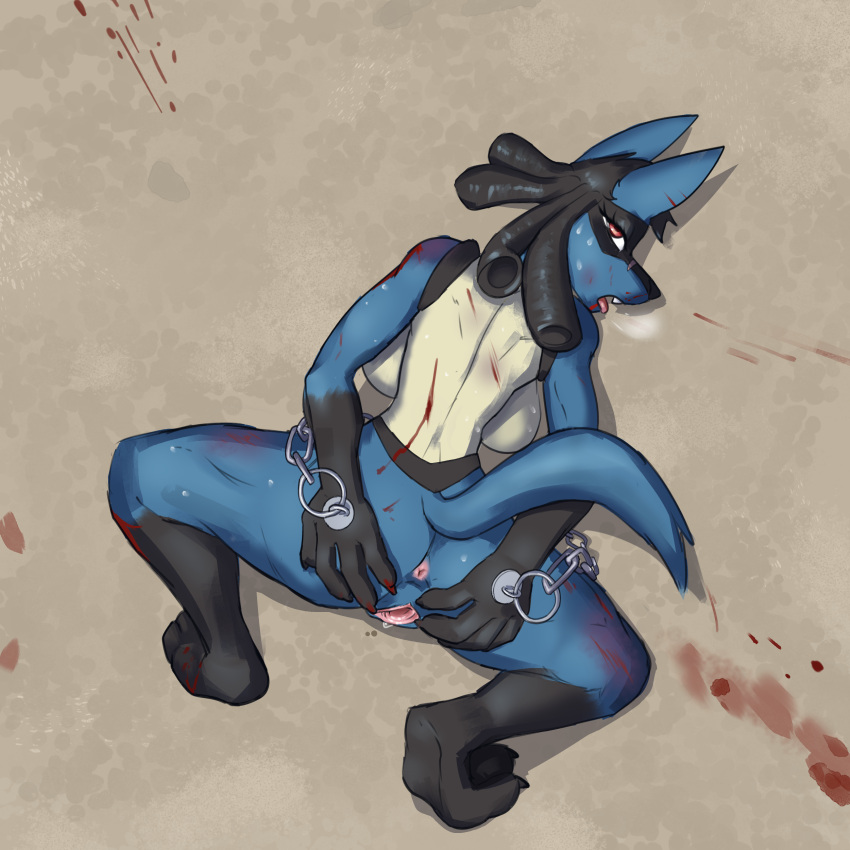 absurd_res anthro big_breasts blood bodily_fluids breast_squish breasts breath bruised chains curvy_figure defeated female fur gaping gaping_pussy genital_fluids genitals hi_res hourglass_figure looking_at_viewer looking_back lucario menis multicolored_body multicolored_fur nameless_lucario nintendo nosebleed panting pink_pussy pokemon pokemon_(species) pussy pussy_juice red_eyes scar sex_slave slave solo spread_pussy spreading squish submissive submissive_female sweat video_games