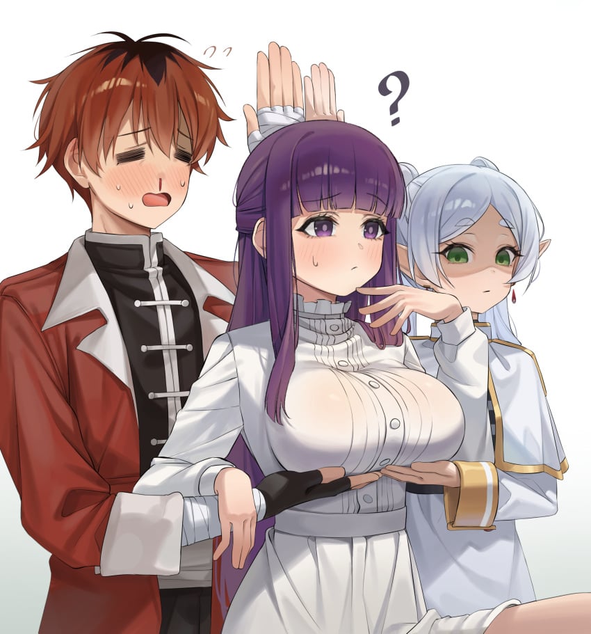Fern (Sousou No Frieren) Rule 34 Image