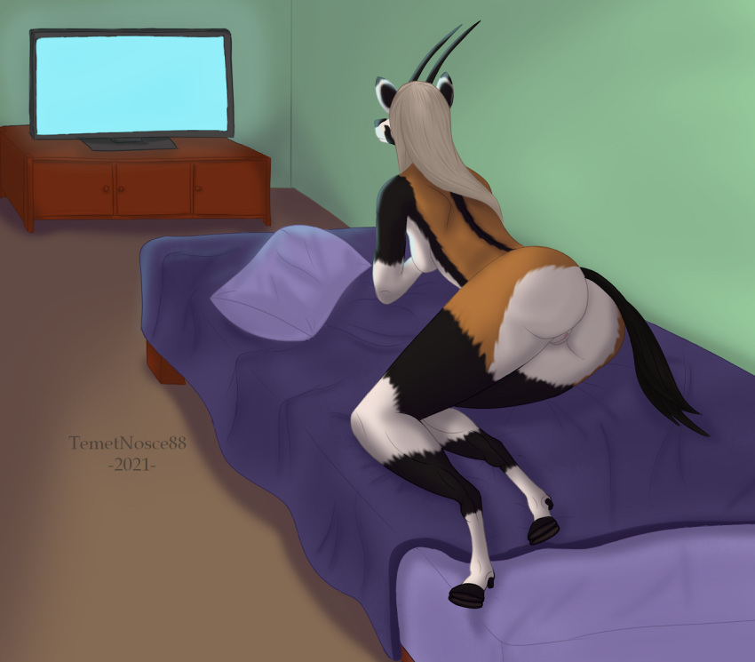 antelope anthro ass bed bedroom black_body black_fur black_horn bovid brown_body brown_fur cloven_hooves female fur furniture genitals grazing_antelope hair hooves horn mammal multicolored_body nude oryx pillow pussy solo tan_hair television temetnosce88 watching_tv white_body white_fur