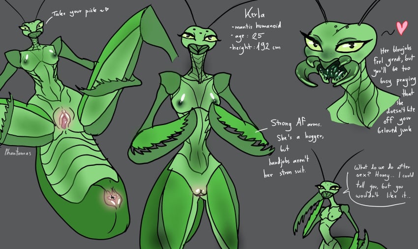 1girls abdomen antennae anthro anus butt female insect insect_girl insect_humanoid insect_mouth mantis mantis_girl original_character phantomas(artist) praying_mantis pussy small_breasts solo_female