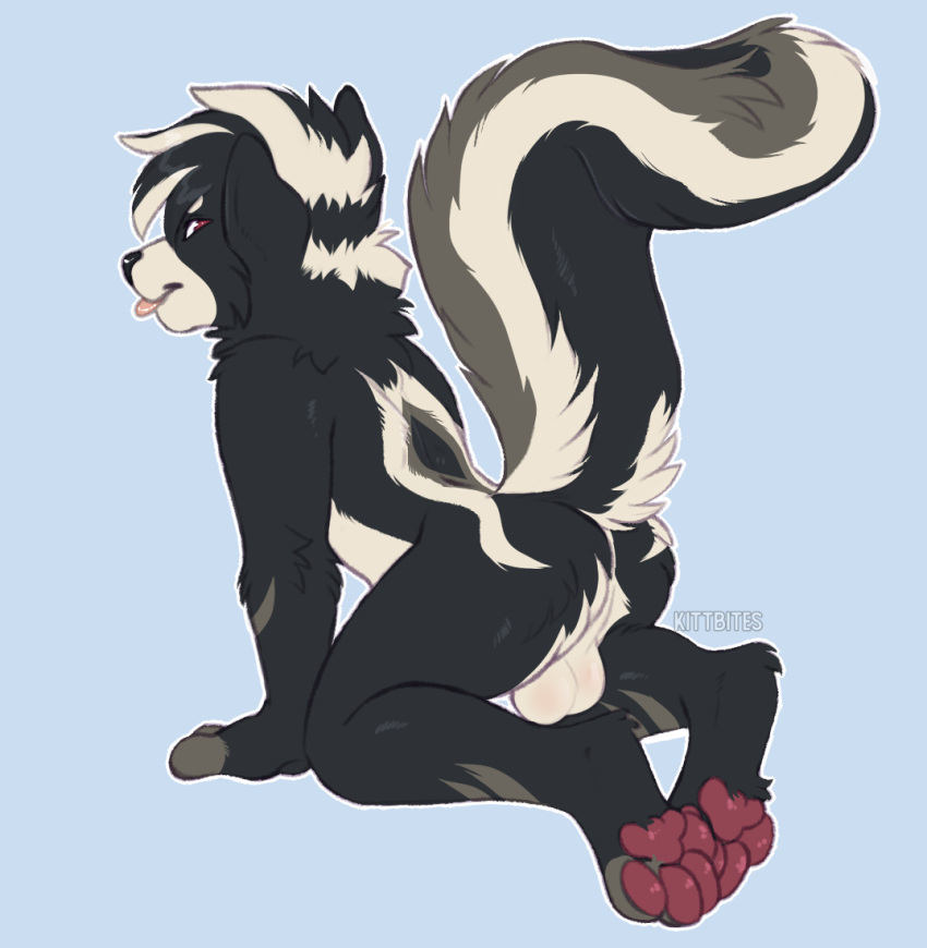 anthro ass balls from_behind_position fur genitals kaden_(luniethewolf66) kittbites looking_back male mammal mephitid multicolored_body multicolored_fur nude pawpads paws pinup pose raised_tail sex skunk skunk_tail solo tail teasing tongue