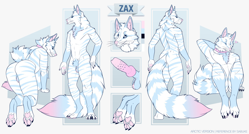 absurd_res animal_genitalia anthro arctic backsack balls canid canine domestic_cat english_text faxby felid feline felis fluffy fox genitals hi_res hybrid knot male mammal model_sheet paws penile_spines penis sabuky sheath solo stripes tabby_cat text thick_thighs zax