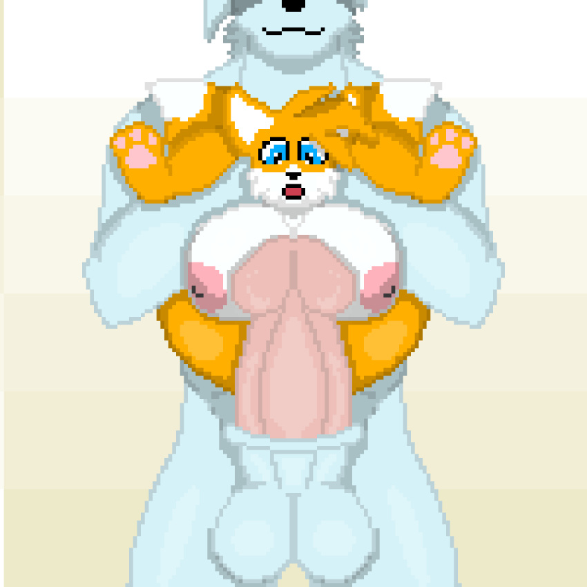 absurd_res anormalzombie big_breasts big_penis breasts canid canine cole_sutra digital_media_(artwork) duo eulipotyphlan female fox full_nelson genitals hedgehog hi_res huge_breasts huge_cock humanoid hyper hyper_genitalia hyper_penis imminent_sex male male/female mammal mtf_crossgender muscular muscular_male nude penis pixel_art rule_63 size_difference sonic_(series) tails tailsko