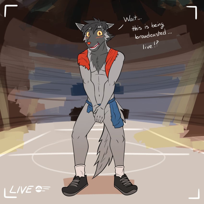 Anthro Rule 34 Image