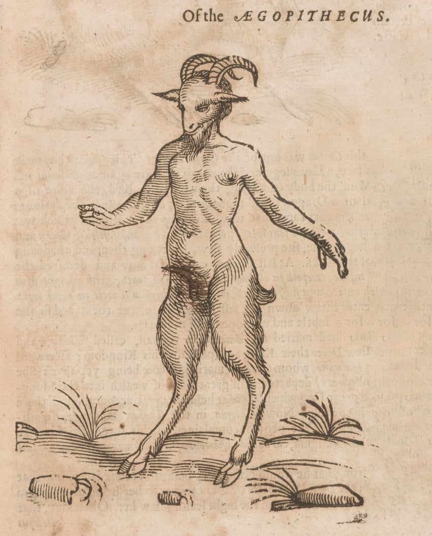 Mythology Rule 34 Image