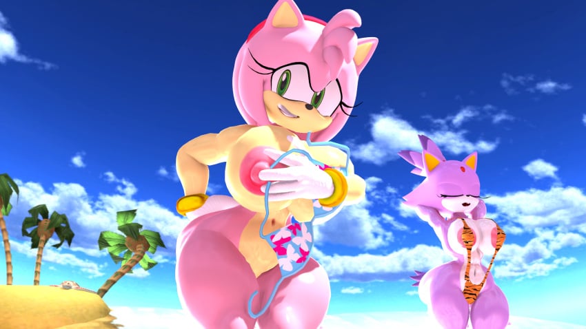 2girls 3d 3d_(artwork) amy_rose anotherthrowaway anthro areolae beach bikini bikini_malfunction blaze_the_cat breast_squeeze breasts embarrassed enf erect_nipples female female_only female_with_female hi_res high_resolution highres huge_areolae huge_breasts large_nipples lost_clothes ltiberium77_(artist) nipples puffy_nipples sega sfm sonic_(series) sonic_the_hedgehog_(series) source_filmmaker thick_thighs wardrobe_malfunction wet wide_hips