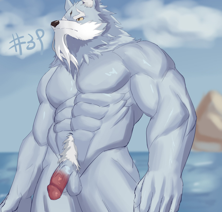 2021 5_fingers abs anthro balls barazoku beard biceps black_nose brown_eyes canid canine canis facial_hair fingers fur genitals glans grey_balls grey_body grey_fur hi_res humanoid_penis law_(sdorica_sunset) male mammal muscular muscular_anthro muscular_male muscular_thighs navel onlybwg3 pecs penis red_glans red_penis sdorica sea solo water white_body white_fur white_pubes wolf yellow_sclera