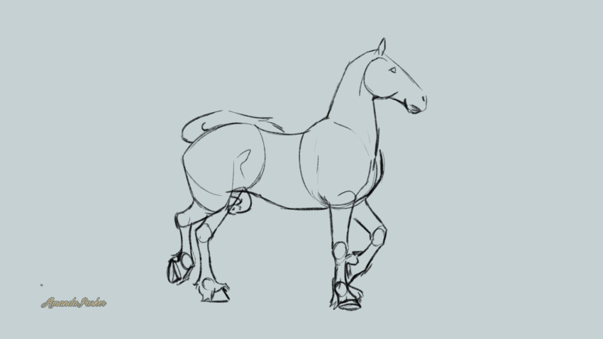 amanda13parker anatomically_correct anatomically_correct_genitalia anatomically_correct_penis animal_genitalia animal_penis animated equid equine equine_penis feral frame_by_frame genitals hi_res hooves horse male mammal penis solo solo_focus swinging_penis