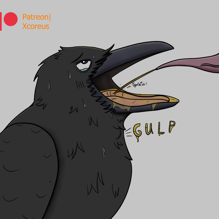 1:1 absurd_res avian beak bird blush blush_lines bodily_fluids corvid corvus_(genus) drinking drinking_urine duo feathers feral fluffy genital_fluids genitals happy hi_res looking_pleasured looking_up male male/male onomatopoeia open_beak open_mouth oscine passerine patreon peeing penis raven shaded simple_background soft_shading sound_effects swallowing sweat tapering_penis tears tears_of_pleasure text tongue urine urine_in_mouth watersports wings xcoreus zoophilia