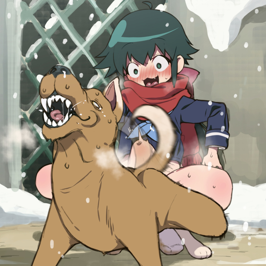 blue_uniform blush brown_body brown_fur canid canine canis censored clothing crouching digital_media_(artwork) domestic_dog duo female female_on_feral female_penetrated feral footwear fur green_hair hair hi_res human human_on_feral interspecies keroro_gunsou knoting koyuki_azumaya light_body light_skin male male/female male_on_human male_penetrating male_penetrating_female mammal mayo_(artist) mosaic_censorship penetration penile penile_penetration penis_in_pussy red_scarf scarf school_uniform sex snow socks stomach_bulge uniform vaginal_penetration vaginal_penetration white_clothing white_footwear white_socks zoophilia