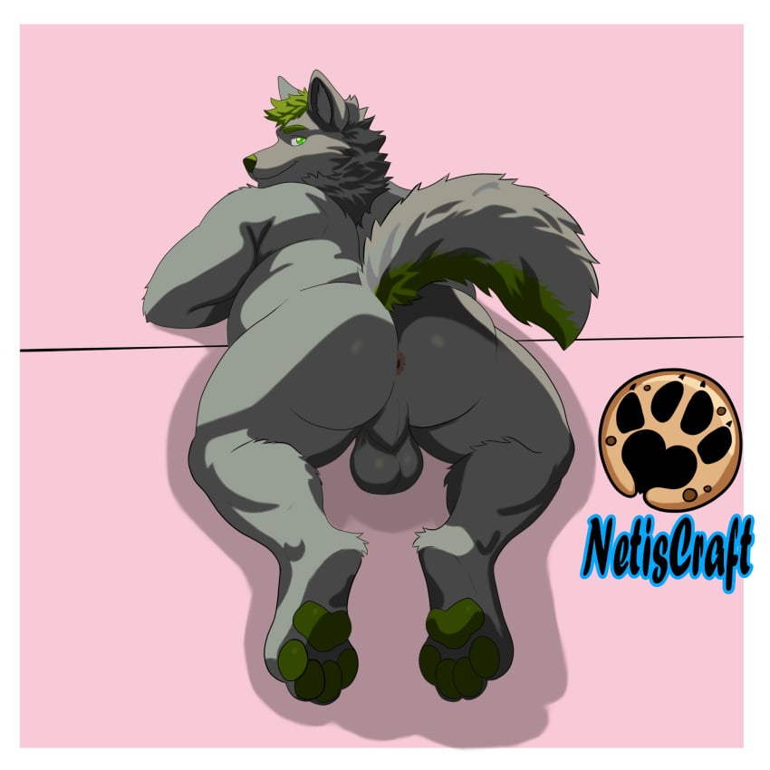 anthro anus ass backsack balls big_balls canid canine canis fur genitals green_body green_eyes green_fur green_nose green_pawpads grey_body grey_fur hair hi_res male male_only mammal netiscraft overweight pawpads rear_view short_hair slightly_chubby solo tail wolf