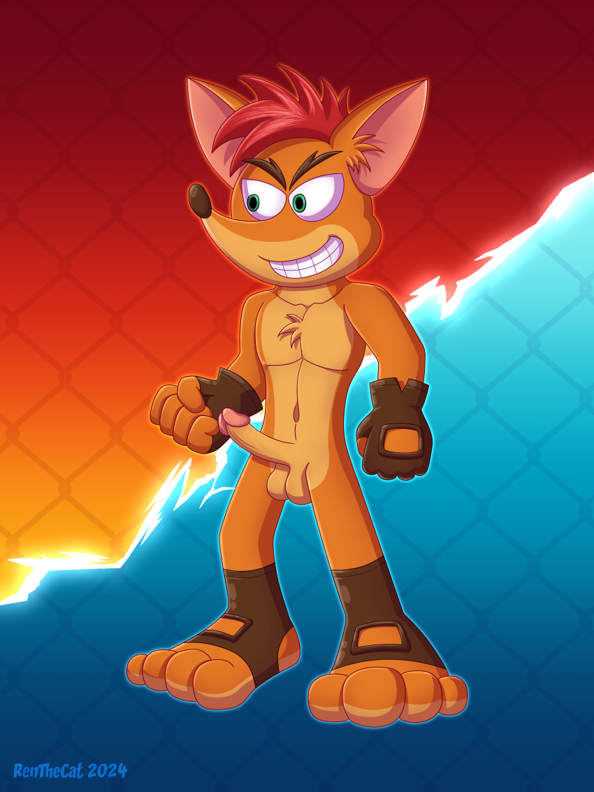 1boy 2024 absurd_res activision anklet anthro balls bandicoot casual clothing crash_(series) crash_bandicoot erect_penis erection exposed_torso footwear fur furry furry_male furry_only gay genitals gloves handwear hi_res jewelry male male_only mammal marsupial mma penis renthecat self_upload simple_background solo video_games