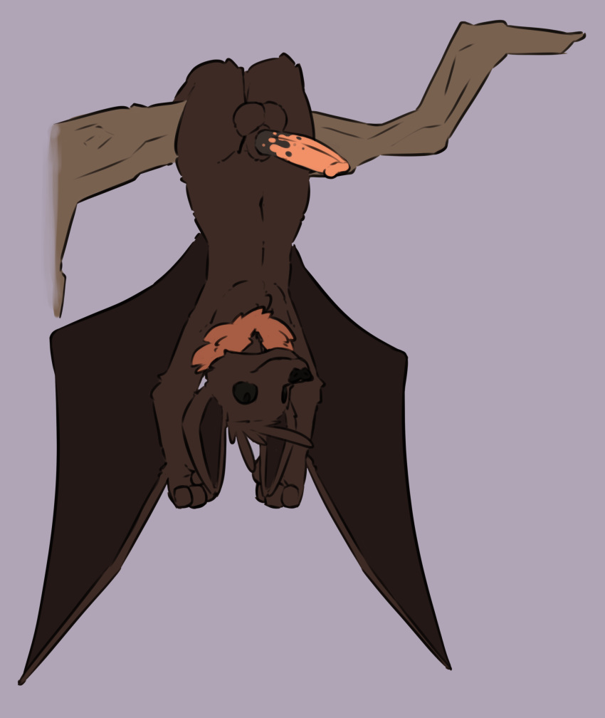 absurd_res anthro balls bat genitals hi_res male mammal penis sarek_aran_desian upside-down