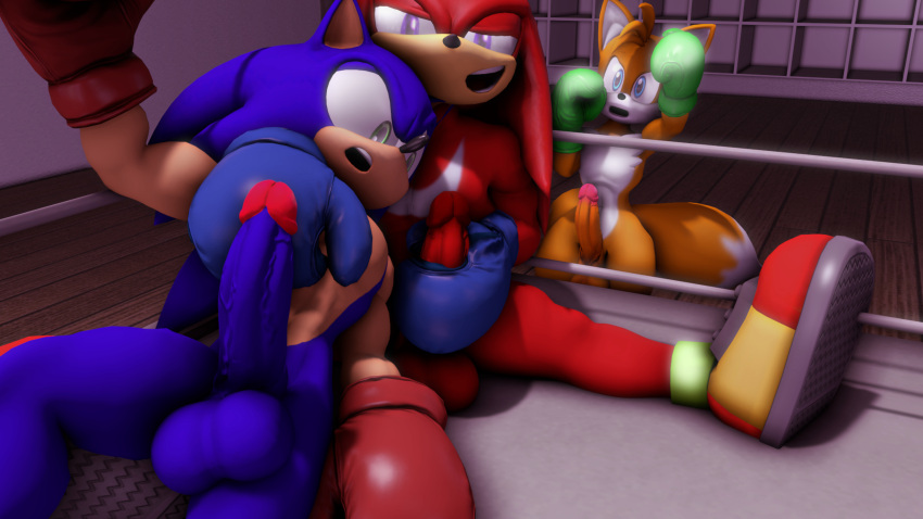 3boys 3d 3d_(artwork) anthro black_nose blue_body blue_eyes boxing boxing_gloves echidna fox gloves green_eyes hair hedgehog knuckles_the_echidna male male_only masturbation miles_tails_prower penis purple_eyes red_body red_hair sonic_(series) sonic_the_hedgehog sonicthebitch tan_body team_sonic white_body yellow_body