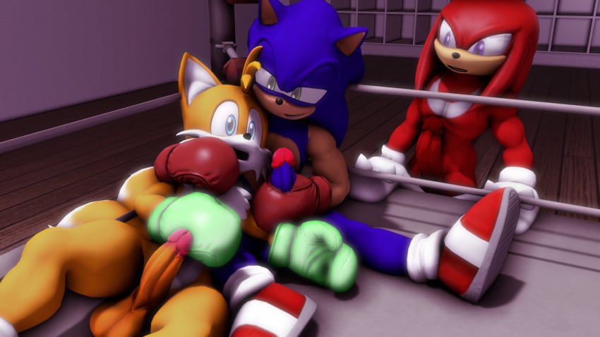 3boys 3d 3d_(artwork) anthro black_nose blue_body blue_eyes boxing boxing_gloves echidna fighting fox gloves green_eyes hair hedgehog knuckles_the_echidna male male_only miles_tails_prower penis purple_eyes red_body red_hair sonic_(series) sonic_the_hedgehog sonicthebitch tan_body team_sonic white_body yellow_body