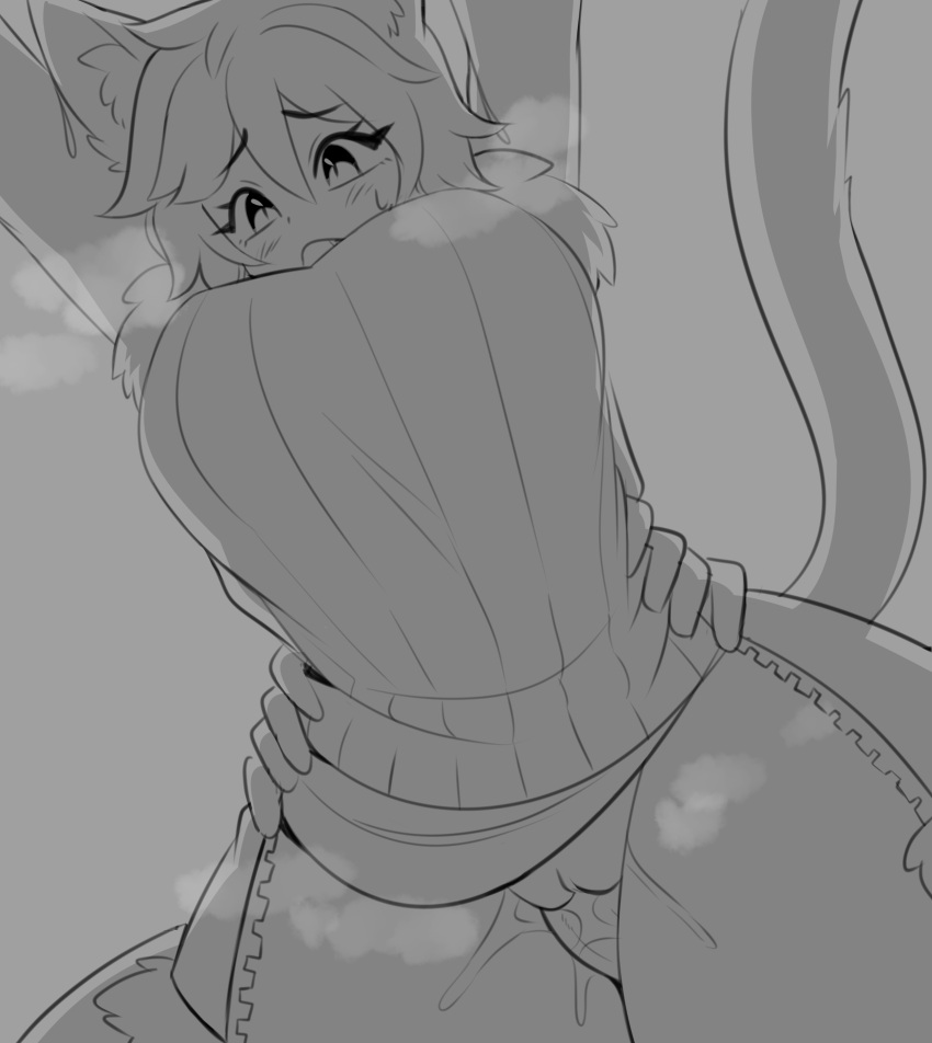 Furry Cat Girl Hentai