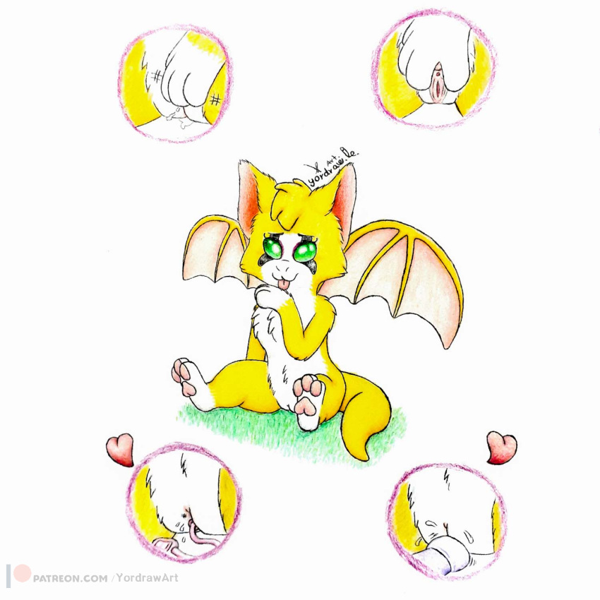 Fidget (Elysian Tail) Rule 34 Image