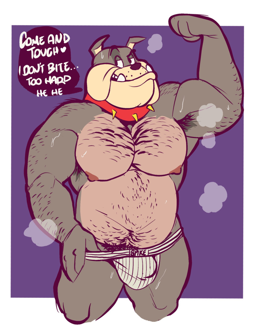 1boy anthro bulge canine english english_text flexing male muscular penis_outline solo spazz_bear speech_bubble spike_bulldog tom_and_jerry underwear