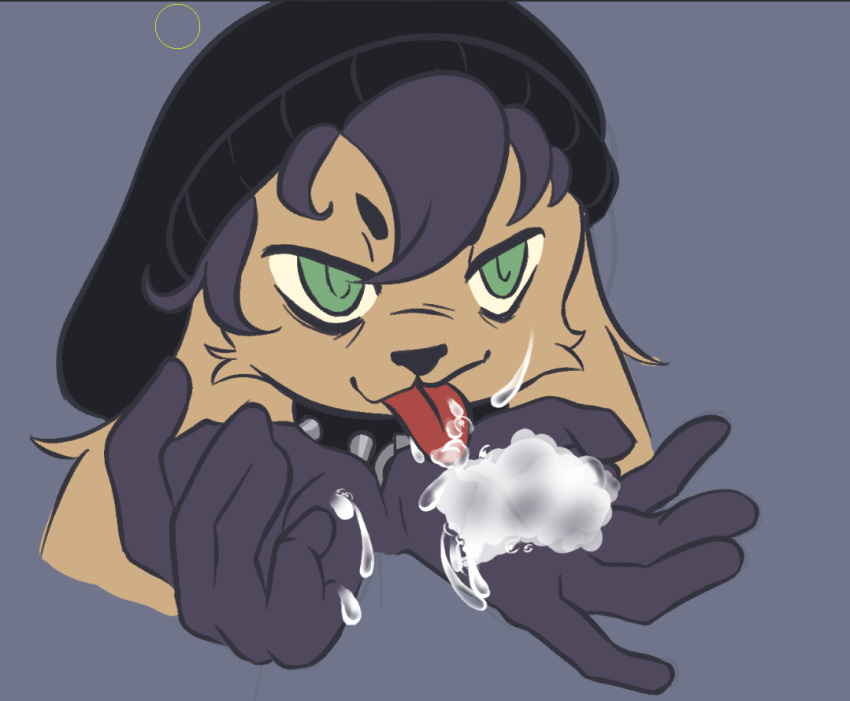 anthro canine cum cum_eating cum_licking face_tuft femboy fur furry furry_only smug