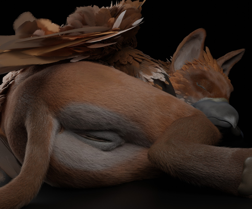 3d_(artwork) absurd_res anus ascaniololololol ass avian digital_media_(artwork) feathered_wings feathers female feral fur furry genitals gryphon hi_res mammal mythological_avian mythology nude pussy sleeping solo unconscious wings