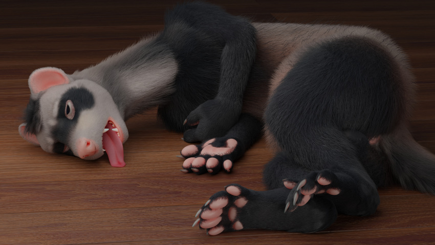 absurd_res anthro anus ascaniololololol ass barefoot claws digital_media_(artwork) domestic_ferret feet fingers fur hi_res lying male mammal mustela mustelid musteline nude paws sleeping solo tired tired_eyes toes tongue true_musteline unconscious