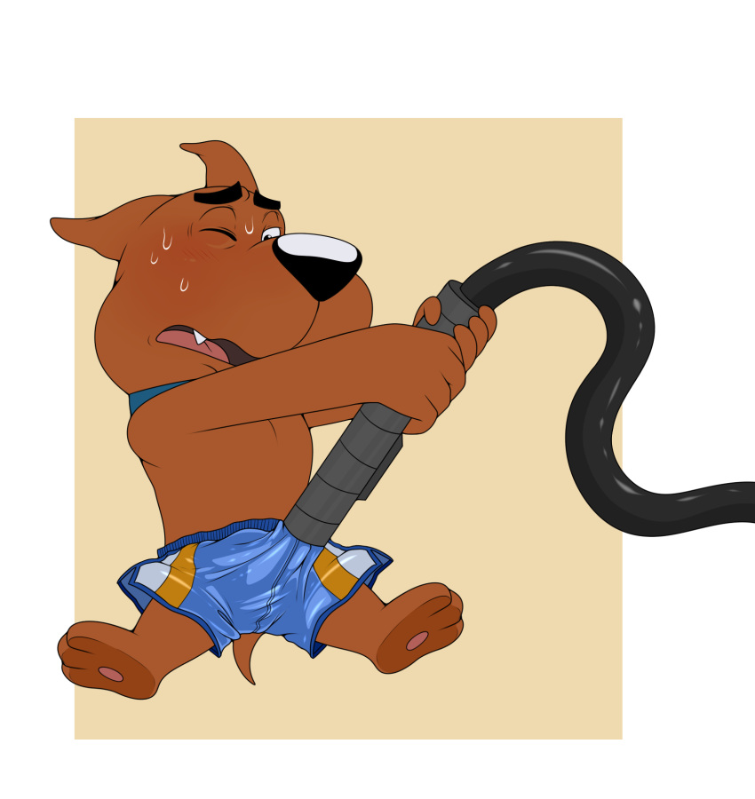 anthro black_nose bodily_fluids bottomwear brown_body brown_fur bulge canid canine canis cleaning_tool clothed clothing collar domestic_dog enookie erection erection_under_clothing fur great_dane hanna-barbera hi_res improvised_sex_toy looking_pleasured male male_only mammal mastiff masturbation molosser one_eye_closed one_eye_half-closed open_mouth penile penile_masturbation pink_tongue scooby-doo scrappy-doo shorts simple_background solo spread_legs spreading sweat tenting tongue topless vacuum_cleaner what