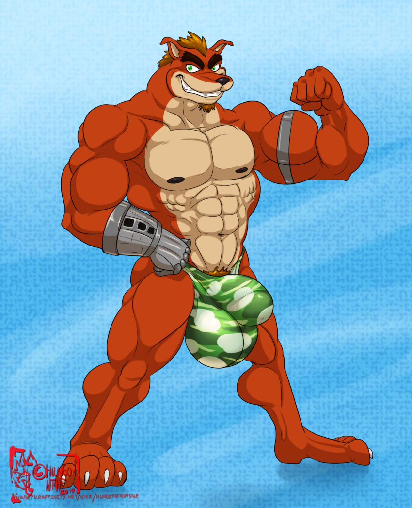 1boy 2019 anthro ass bara big_balls blue_background bulge crash_(series) crunch_bandicoot cyborg flexing fur furry furry_only green_eyes hungothenomster large_penis male male_only muscles muscular muscular_male nipples pubic_hair robotic_arm simple_background solo underwear video_games