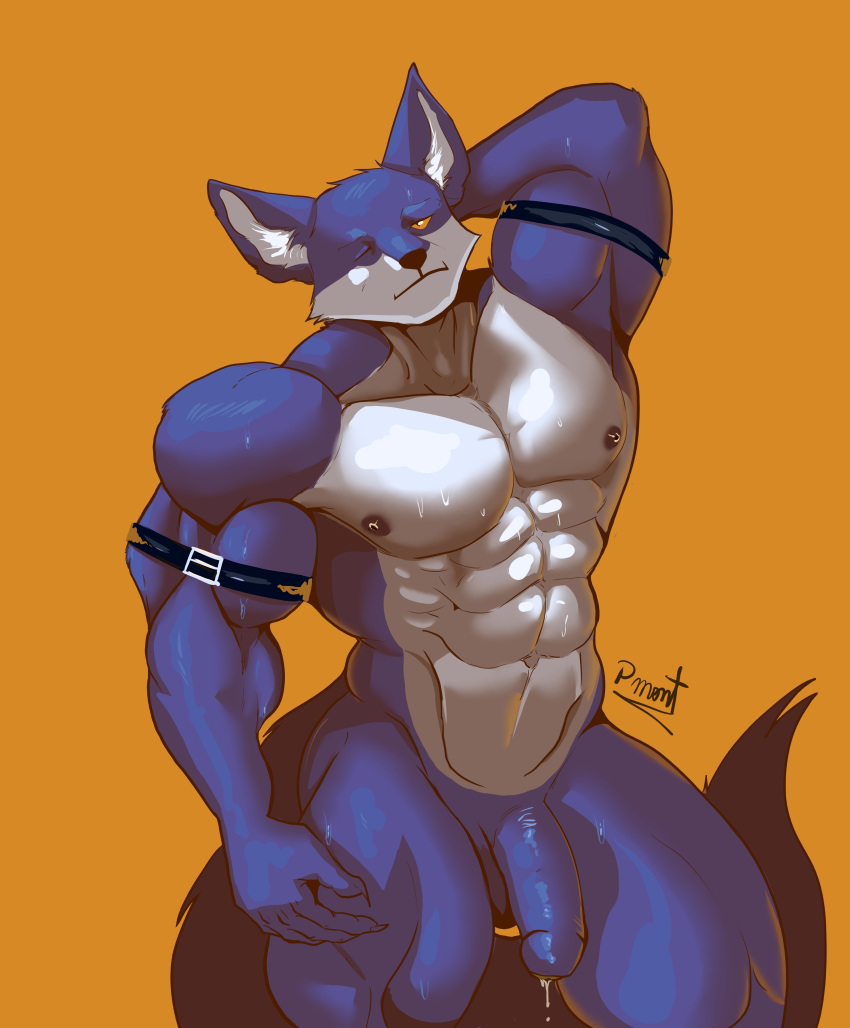 abs absurd_res anthro balls barazoku bergamo blue_body blue_fur bodily_fluids canid canine canis dragon_ball ears_up flaccid fur genitals hi_res male male_only mammal muscular muscular_anthro muscular_male nipples nude penis pinumontbalou solo sweat sweaty_body wolf yellow_eyes