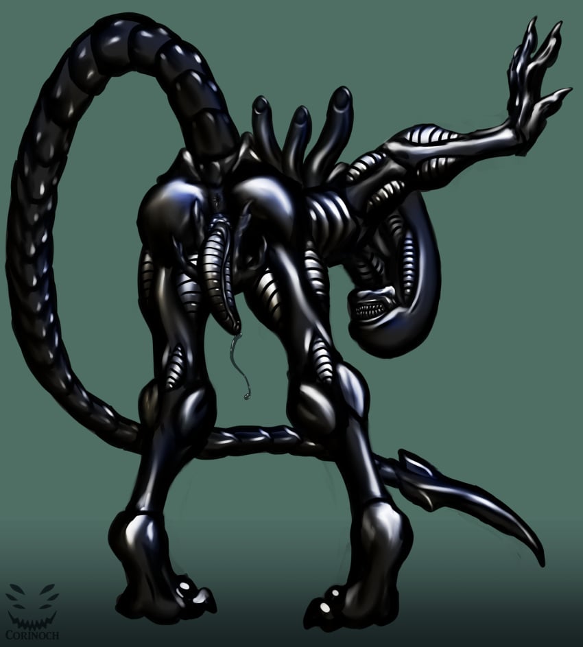 alien alien_(franchise) anthro anus ass bent_over bodily_fluids corinoch_(artist) dripping gay genital_fluids genitals hand_between_legs hi_res leaning_on_wall looking_at_viewer male male_only male_xenomorph monster penis precum precum_drip precum_string presenting presenting_anus presenting_hindquarters presenting_penis solo spread_anus spread_butt spread_slit spreading xenomorph