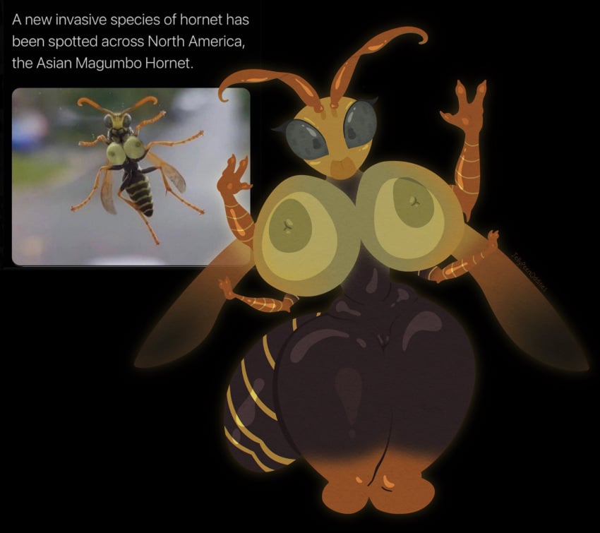 1girls against_glass areolae big_breasts breasts female female_only furry insect_girl insects jellypeenoddities magumbo_hornet naked naked_female nipples nude nude_female pussy reference_image solo solo_female