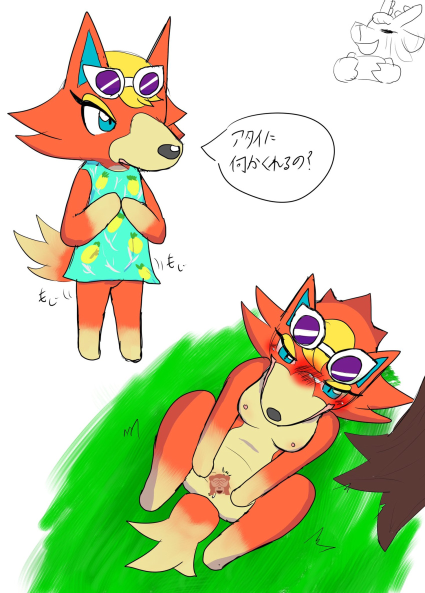 animal_crossing anthro audie_(animal_crossing) blush breasts canid canine canis censored dialogue emoji eyewear female food fruit genitals glasses hi_res japanese_text mammal ne_i_ro nintendo onomatopoeia pineapple pineapple_pattern plant pussy solo sound_effects speech_bubble spread_legs spread_pussy spreading tailwag text video_games wolf