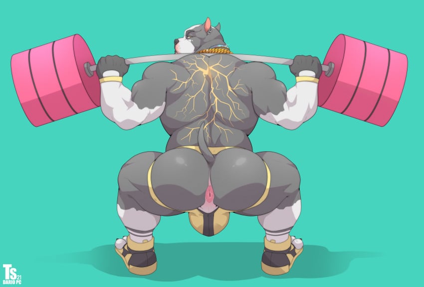 2021 absurd_res animal_humanoid anthro anus ass ass_focus ass_view back_muscles bara bara_ass barazoku barbell big_ass big_ass_(male) big_butt big_muscles blue_background bubble_ass bubble_butt bulge canid canine canis clothing collar dat_ass dat_butt domestic_dog dumptruck_ass dumptruck_butt ear_piercing ear_ring exercise fat_ass fat_butt fingerless_gloves footwear gloves handwear hi_res huge_ass huge_butt humanoid jockstrap large_ass large_butt looking_at_viewer looking_back looking_back_at_viewer male male_only mammal massive_ass massive_butt muscle_ass muscle_butt muscular muscular_anthro muscular_ass muscular_butt muscular_male perineum piercing pit_bull plump_ass plump_butt rear_view round_ass round_butt shoes simple_background socks solo squats tattoo tylerstark underwear weightlifting workout