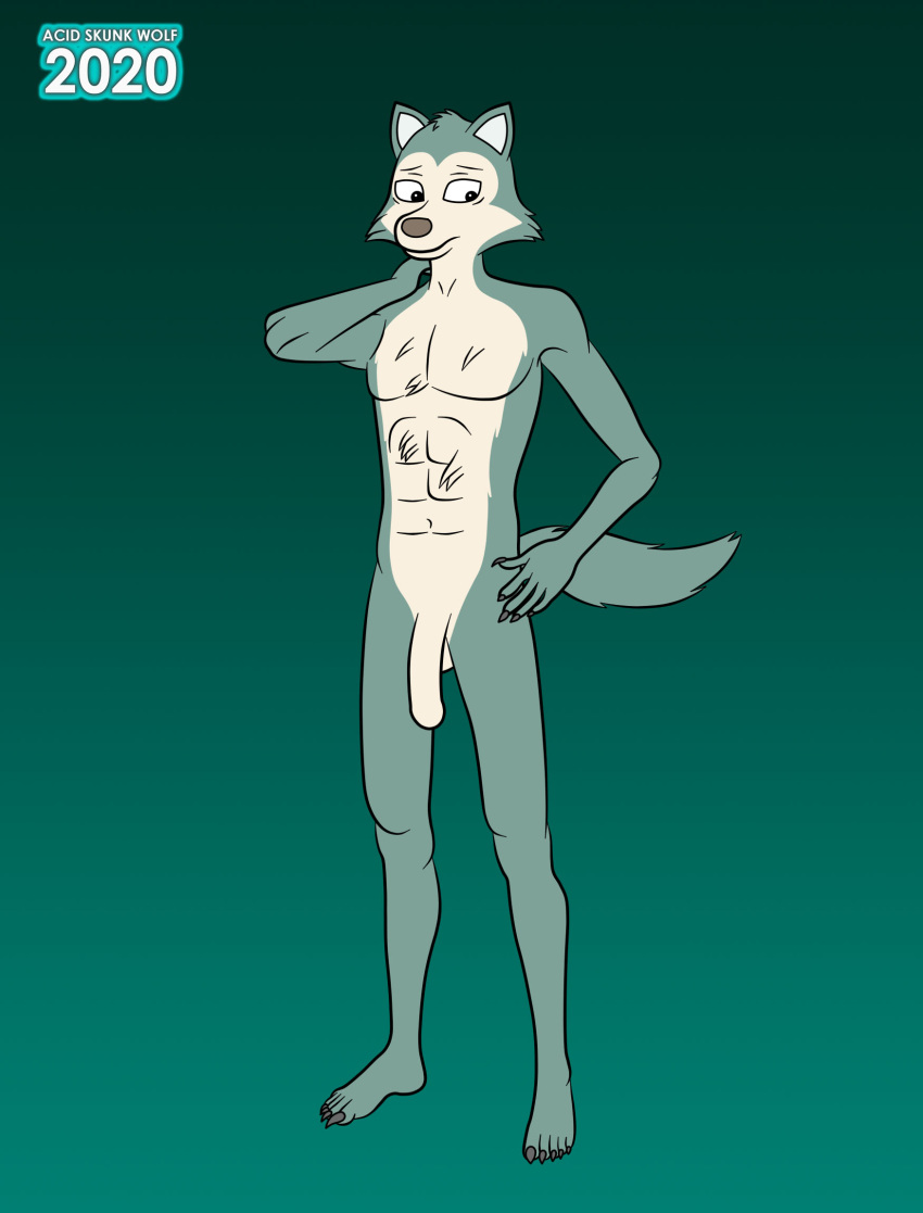 acidskunkwolf anthro beastars canid canine canis claws fur genitals hi_res humanoid_genitalia humanoid_penis legoshi_(beastars) male mammal nude penis pose solo standing wolf