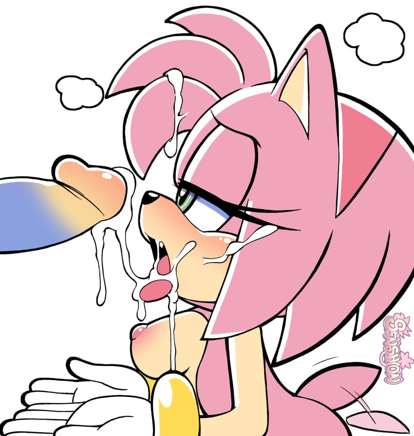 Amy Rose (Sega) Rule 34 Image