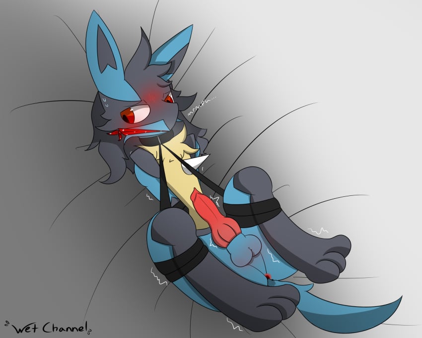 3_toes animal_genitalia animal_penis anthro anus arms_tied ball_blush balls blue_balls blue_body blue_fur blush bodily_fluids bondage bound canine_penis cloth_gag collar erection feet fur gag gagged genitals grey_body grey_fur hi_res knot leash legs_tied looking_aside lucario lying male male_only nintendo on_back penis pokemon pokemon_(species) red_eyes solo spike_(disambiguation) submissive submissive_male sweat tan_body tan_fur throbbing_penis toes twitching video_games